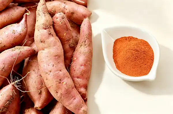 Freeze Dried Sweet Potato Powder