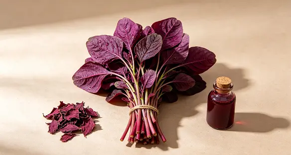 Red Amaranth Extract Red Amaranth Extract