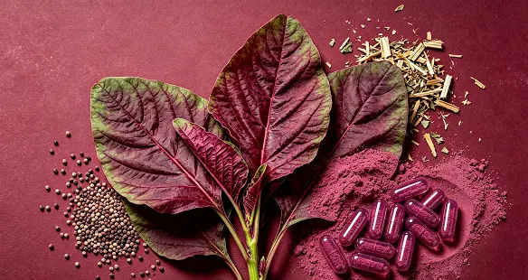 Red Amaranth Extract Red Amaranth Extract