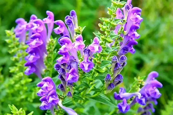blog-1-1 blog-1-1