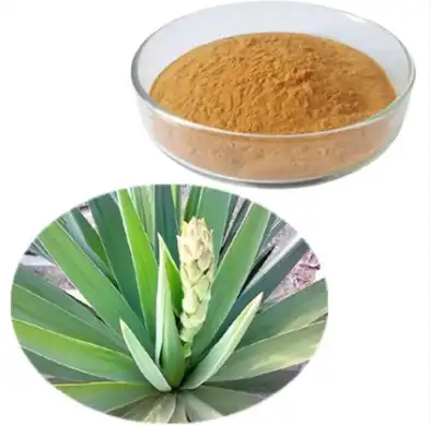 Yucca Extract