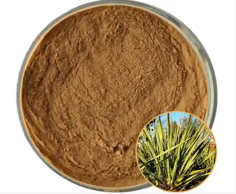 Yucca Extract