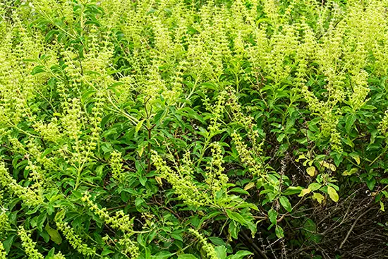 blog-1-1