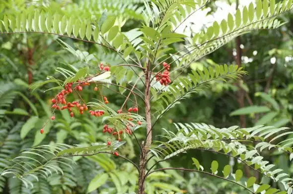 blog-1-1