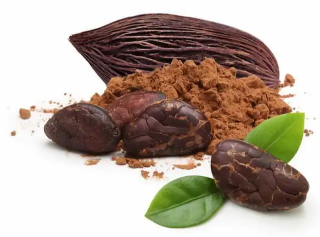 Cocoa Seed Extract Cocoa Seed Extract