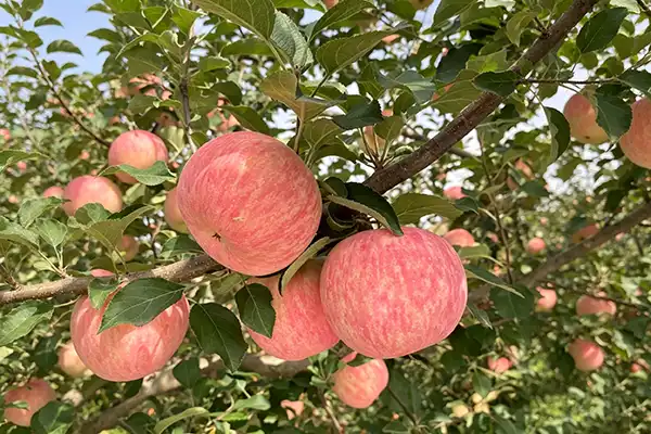 blog-1-1