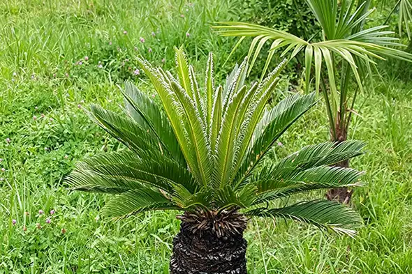 blog-1-1