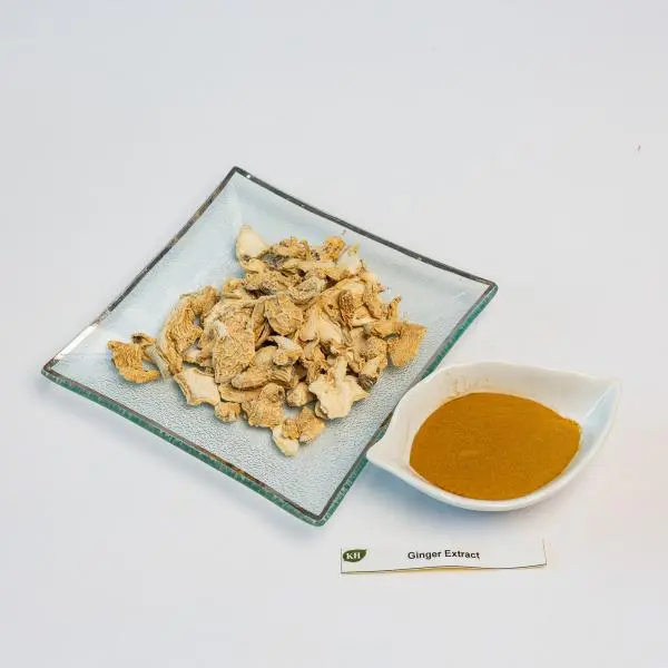 Ginger Extract Powder