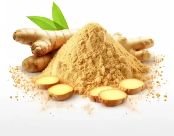 Ginger Extract Powder