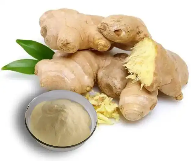 Ginger Extract Powder