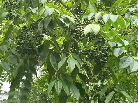 blog-1-1
