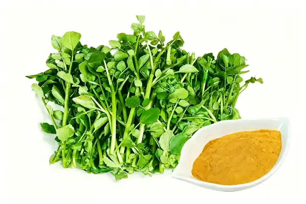 Watercress Extract
