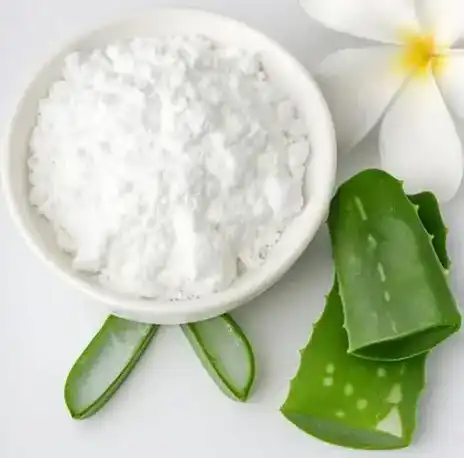 Aloe Vera Gel Powder