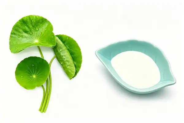 Centella Asiatica Extract Powder Centella Asiatica Extract Powder