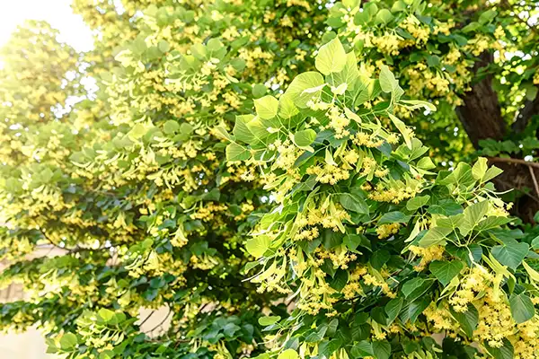 blog-1-1