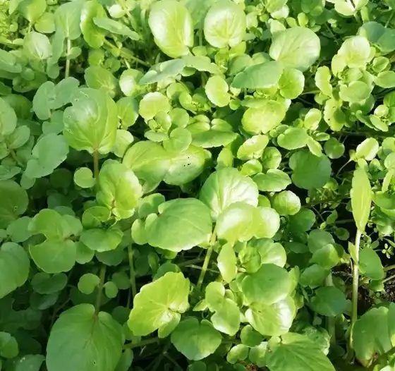 blog-1-1