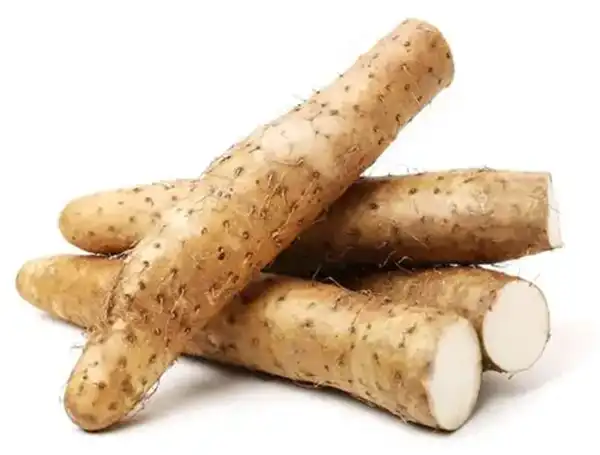Wild Yam Extract Powder Wild Yam Extract Powder