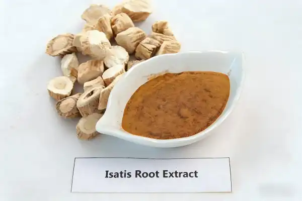 Isatis Root Extract