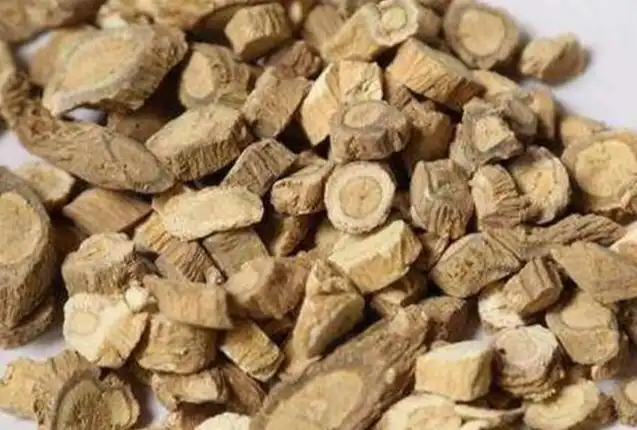 Isatis Root Extract Isatis Root Extract