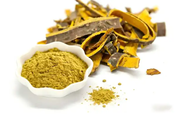 Cortex Phellodendri Powder Cortex Phellodendri Powder