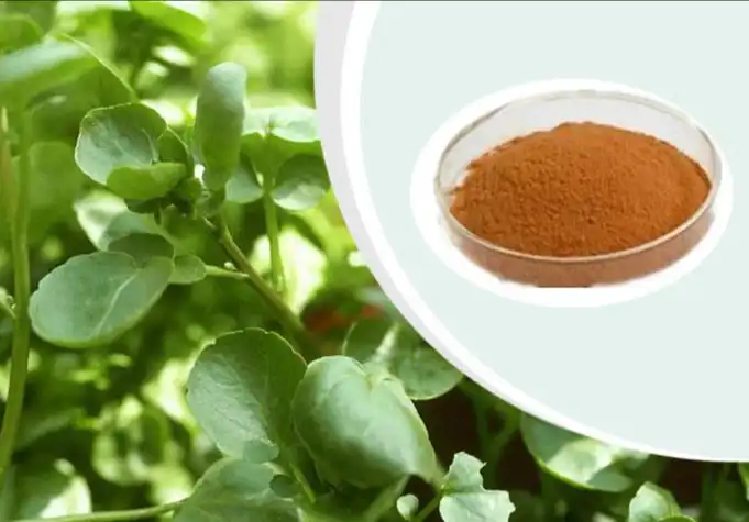 Watercress Extract