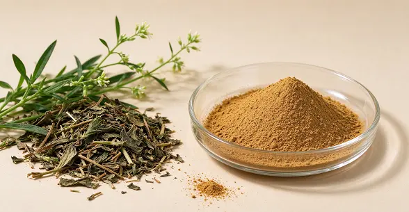 Eclipta Alba Extract Eclipta Alba Extract