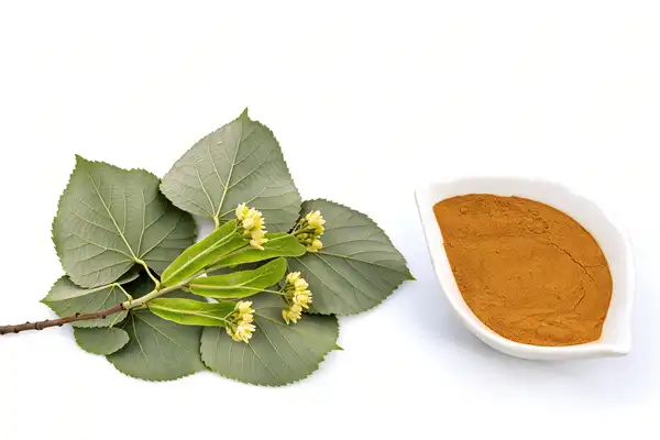 Tilia Extract Tilia Extract