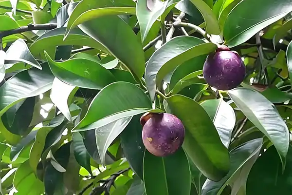 blog-1-1