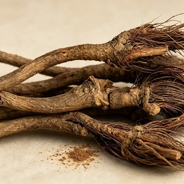 Maral Root Extract Maral Root Extract