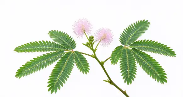 blog-1-1
