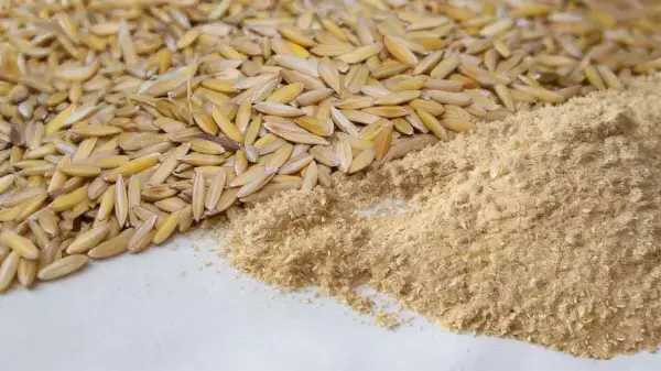 Rice Bran Extract Rice Bran Extract