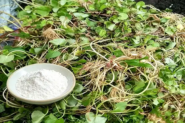blog-1-1