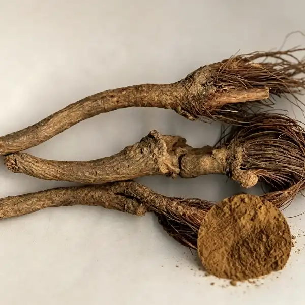 Maral Root Extract