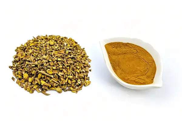Scutellaria Baicalensis Extract