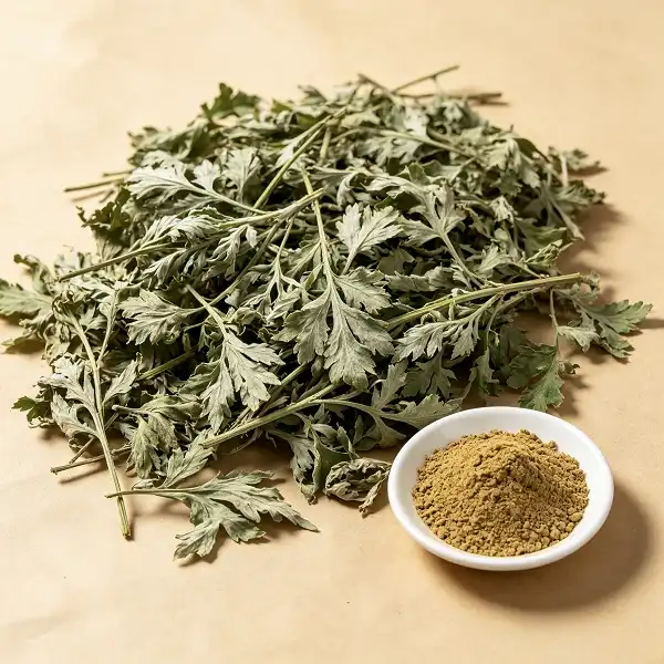 Artemisia Argyi Extract