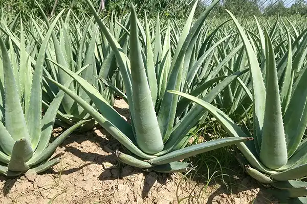 blog-1-1