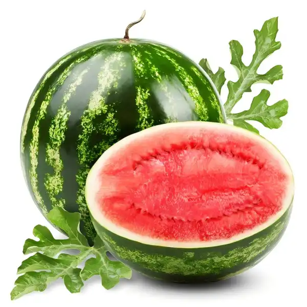 Does Watermelon Powder Boost Immune Function?