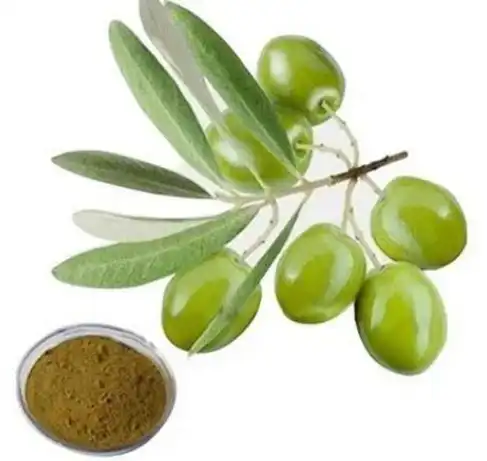 Olive Extract Powder vs Olive Oil: What’s the Difference?