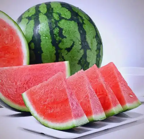 What Sets Premium Watermelon Powder Apart?