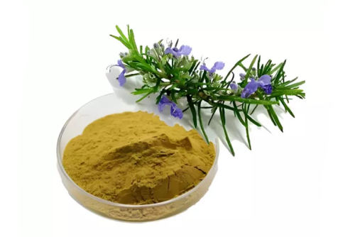 Unlock Nature’s Strength: The Remarkable Benefits of Ursolic Acid