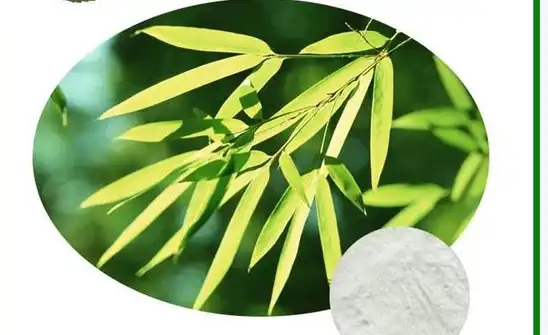 5 Ways in Which Bamboo Extract Improves Our Wellbeing