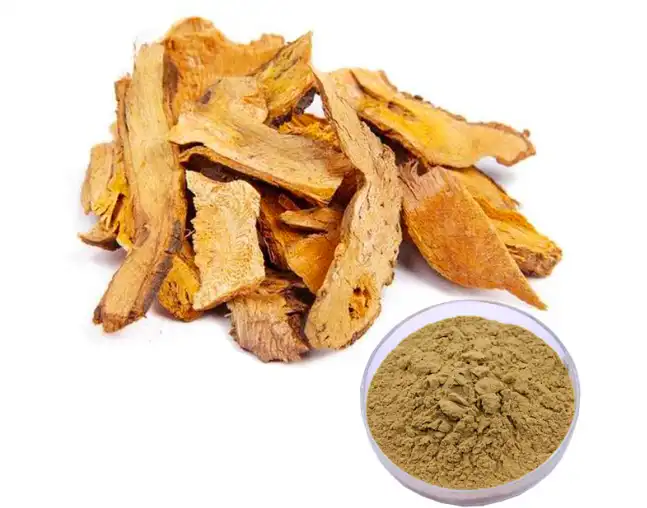 Polygonum Cuspidatum Extract: Antioxidant Protection Explained