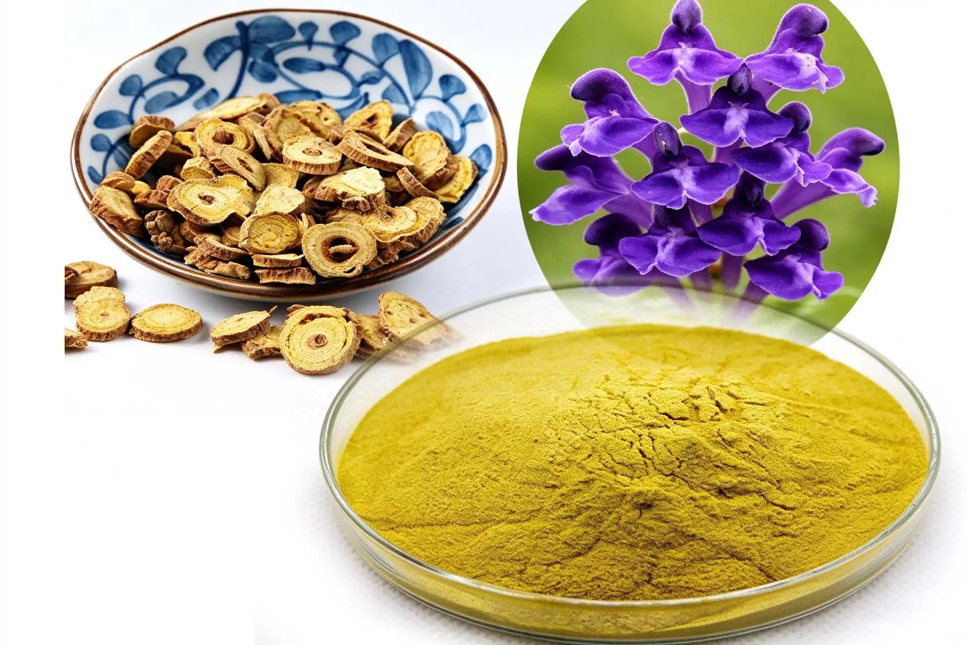 Ekstrak Scutellaria Baicalensis OEM: Pandhuan Formulasi Ekstrak Scutellaria Baicalensis OEM: Pandhuan Formulasi