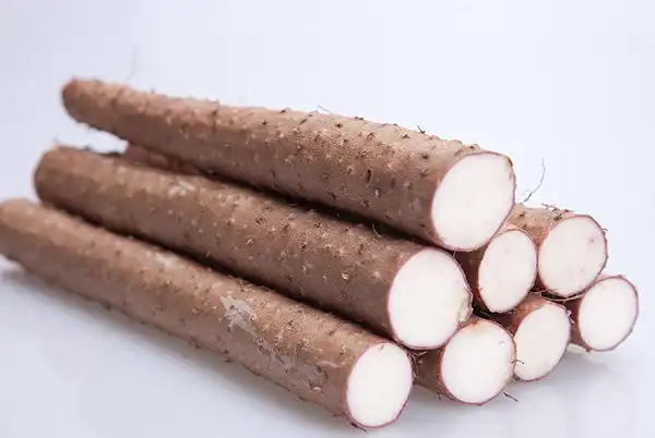 Wild Yam Extract Powder: Top Uses in Nutritional Products