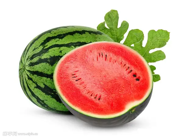 Why Choose Watermelon Powder for Sports Nutrition?