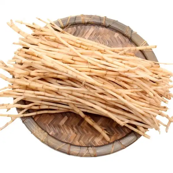 Why Choose High-Quality Couch Grass Rhizome Extract?