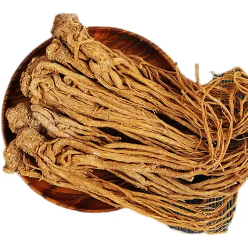 What Is Angelica Officinalis Extract Used for in Supplements?