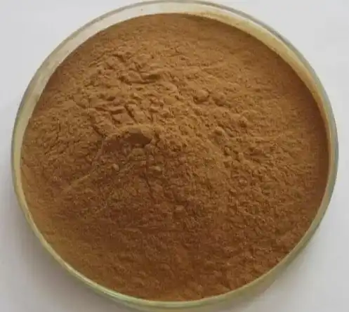 Premium Couch Grass Rhizome Extract for Urinary Tract Support