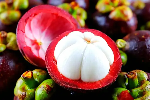 Mangosteen Extract Powder for Supplements, Foods, and Cosmetics