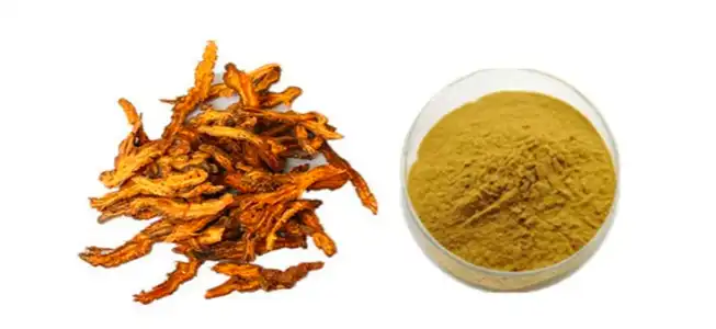 Why Rhizoma Coptidis Powder Is a Natural Health Game-Changer